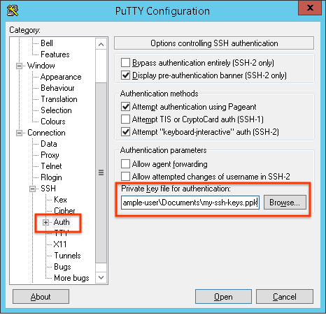 putty_set_private_ke